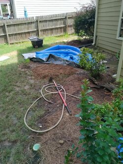 Was disheveled, now it's Leveled!.jpg