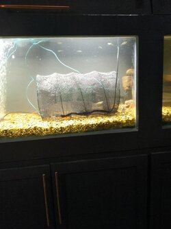 Fish trap.jpg