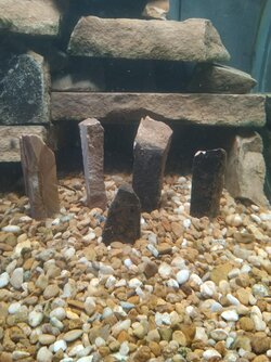 Stonehenge.jpg