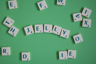 09D0D398-1DD9-493E-8A99-AFB01918A15C.jpeg
