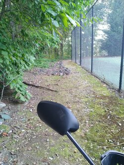 Where I gather rocks..jpg