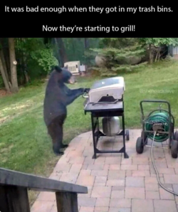 1660839662328.png