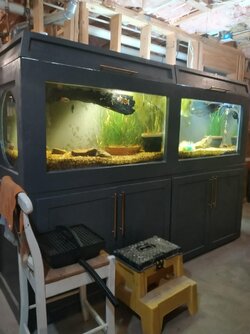 Aquarium, 285 gal He-Man Long!(1).jpg