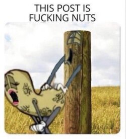 fucking nutspost.jpeg