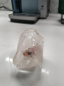 Don Knots on ice..jpg