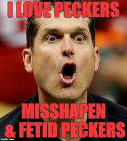 HarbaughPeckers2018.jpg