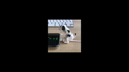 phonechargerhumpingdog.gif