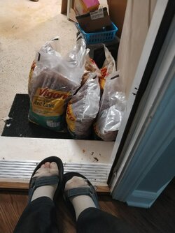 Bags of grabble!.jpg