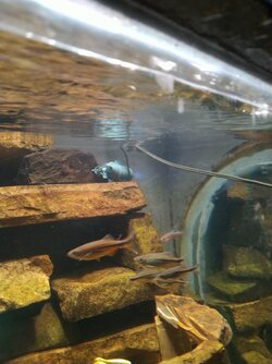 Sub docked @ The Piles.jpg
