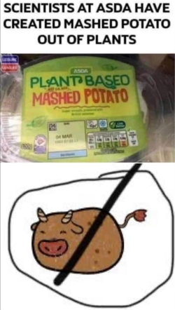 1662133863260.png
