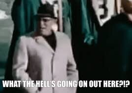 What The Hell Is Going On Here GIFs | Tenor