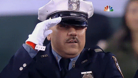 b07c724553ef8fd0dea963e92f6aaede.gif