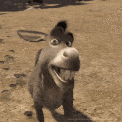 shrekdonkeysmiling-ani.gif