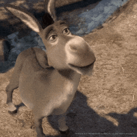 shrekdonkeyshakinghead.gif