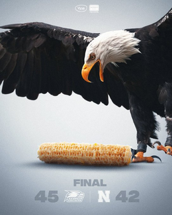 1663013081023.png