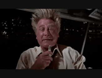 04E3968D-1CAF-4476-9A4C-189EB10E6411.gif
