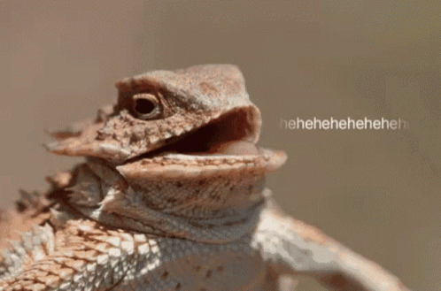 8415A868-8AE4-4F53-825E-0978D53A866C.gif