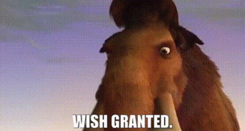 wishisgranted01-ani.gif