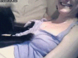 catkneadingboobs.gif