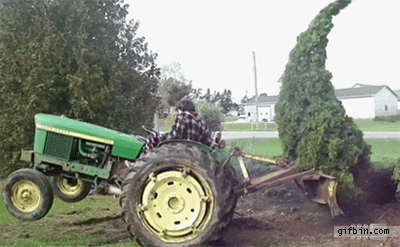 tractorvstree.gif