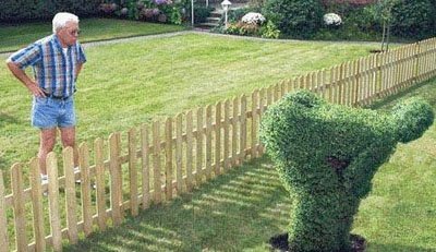 grassbutt.jpg