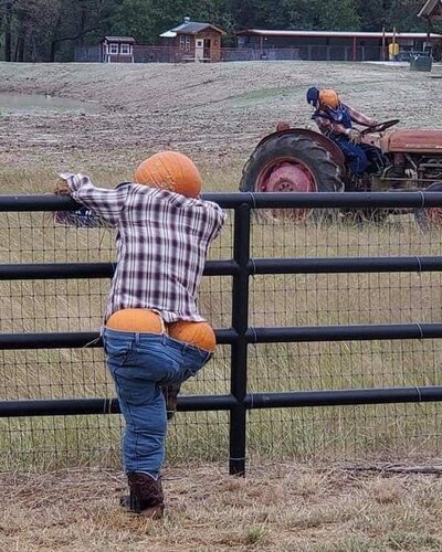 pumpkinbutt.jpg