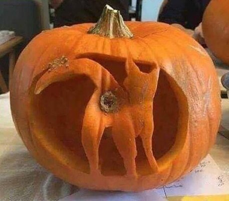 pumpkincatbuthole.jpg