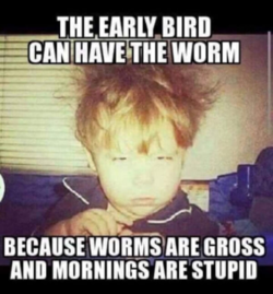 1604503467250.png