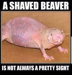 FB_IMG_1604714066675.jpg