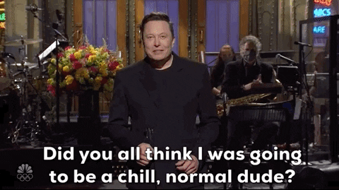 elonthinkimnormaldude-ani.gif
