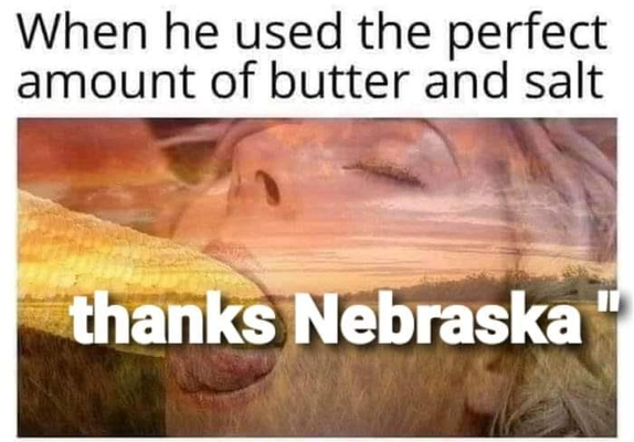 1667614332729.png