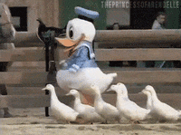 31A964A4-93C7-4A17-98E8-D2636E8F0747.gif
