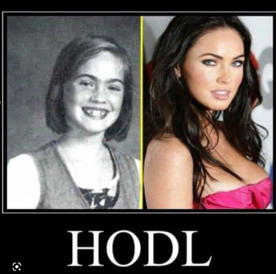 hodl-02.png