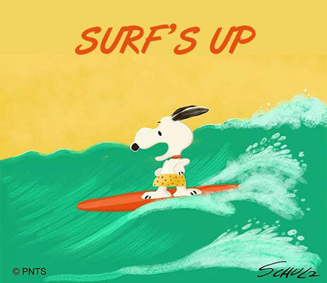 surfersnoopy.jpg
