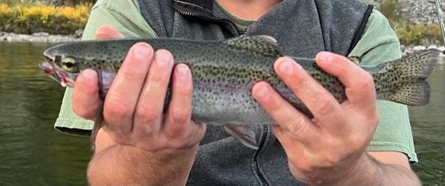 rainbow.jpg