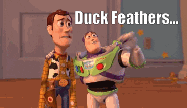 duckfeatherseverywhere-ani.gif