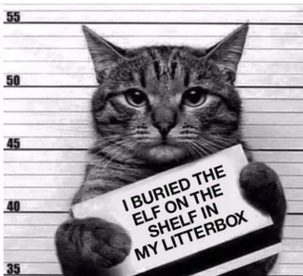 elfonshelfinlitterbox.png