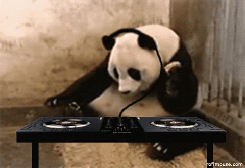 djpanda-ani.gif
