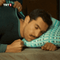 BB0521AF-2A7B-4C67-BD24-B4B595C28A6F.gif