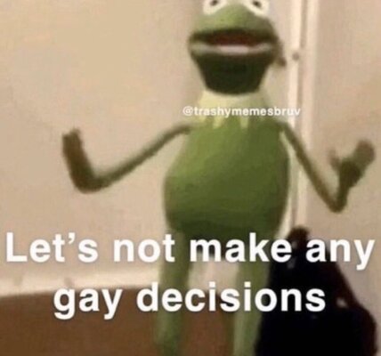 gaydecision.jpeg