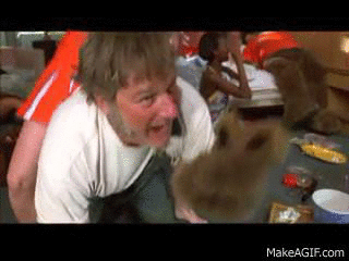 9E0473EA-5D3D-4B10-9587-63BEE63F51B6.gif