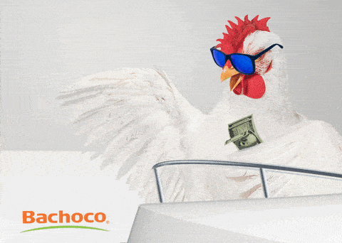 moneychicken-ani.gif