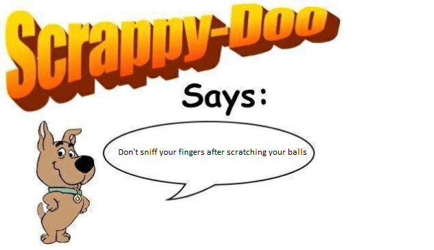 1675318955548.png
