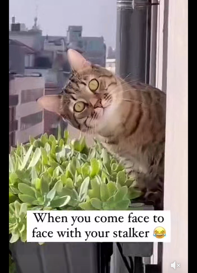 Screenshot_20230226-081704~2.png