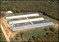 poultry-houses.jpg