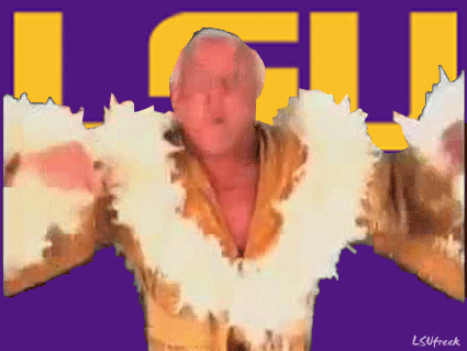 A Flair For the Game: LSU vs. TCU - And The Valley Shook